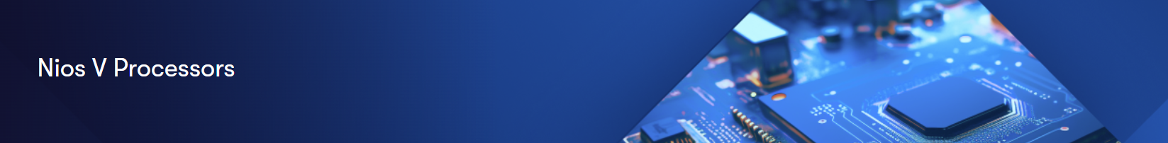 Nios V Processor Header
