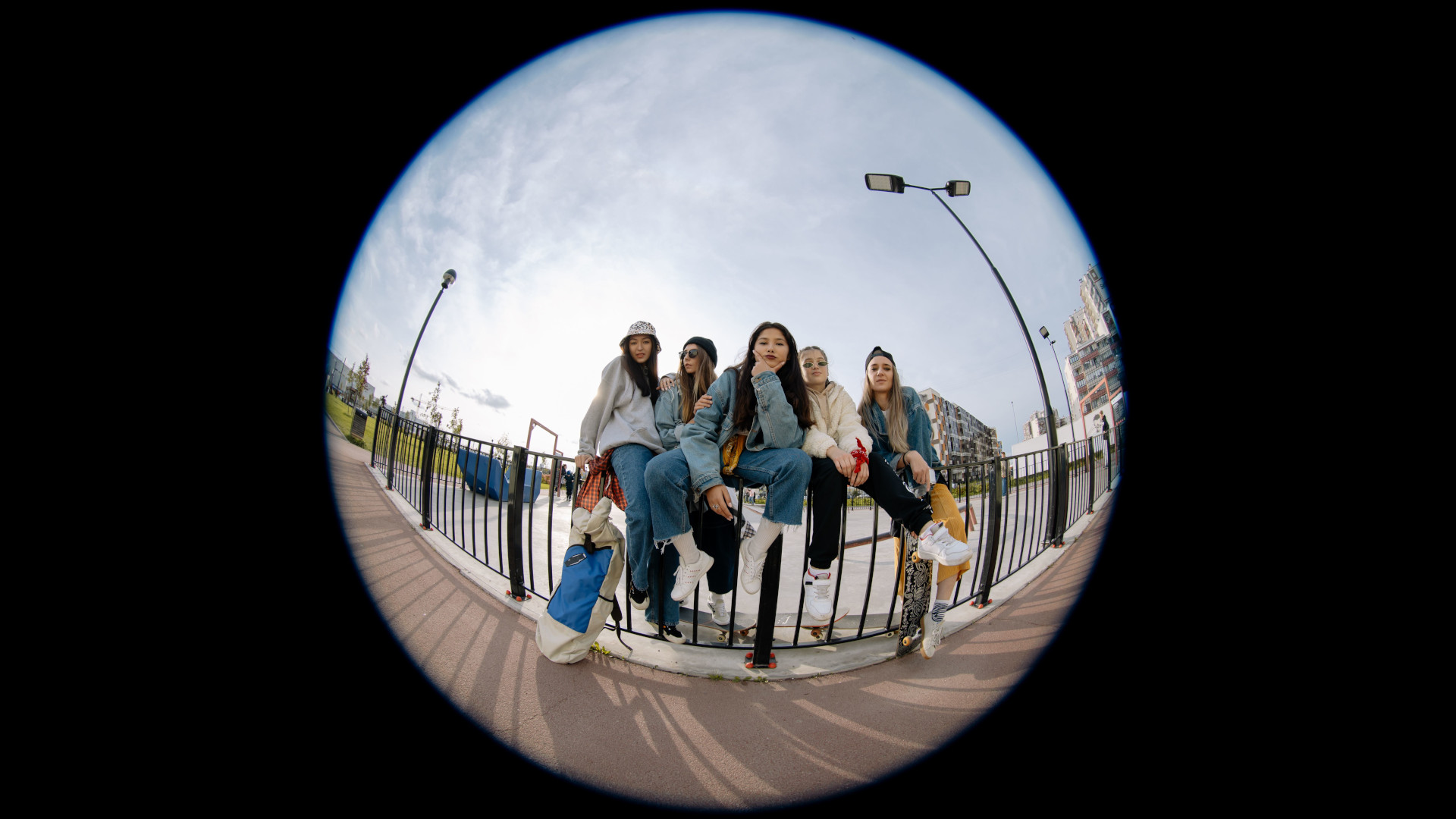 Fisheye input example